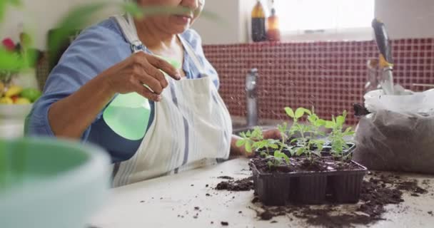Senior Biracial Woman Wearing Apron Gardening Kitchen Alone Healthy Active — Stockvideo