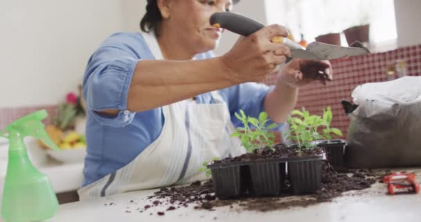 Smiling Senior Biracial Woman Wearing Apron Gardening Kitchen Alone Healthy — Stockvideo