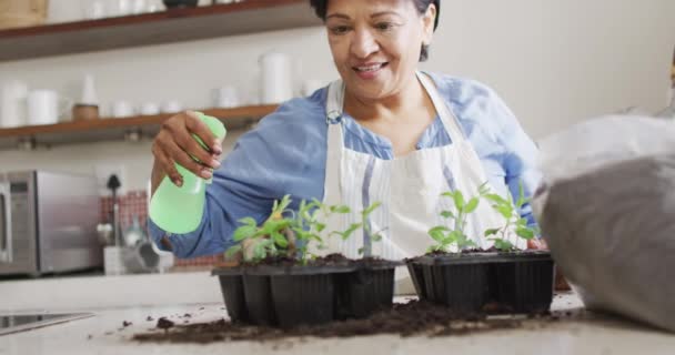 Smiling Senior Biracial Woman Wearing Apron Gardening Kitchen Alone Healthy — Vídeo de Stock