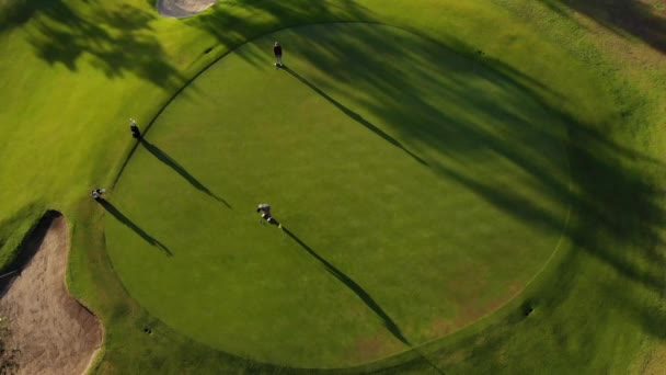 Doi Jucători Golf Sex Masculin Care Joacă Golf Teren Golf — Videoclip de stoc