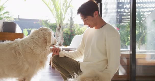 快乐的亚洲男孩在客厅里爱抚他的狗 独自呆在家里 — 图库视频影像
