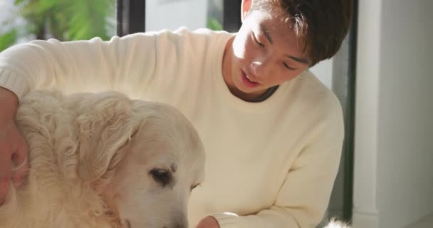 Happy Asian Male Teenager Petting His Dogs Living Room Spending — Stock video