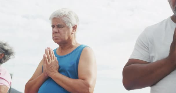 Felices Personas Mayores Diversas Que Practican Yoga Jardín Casa Retiro — Vídeos de Stock