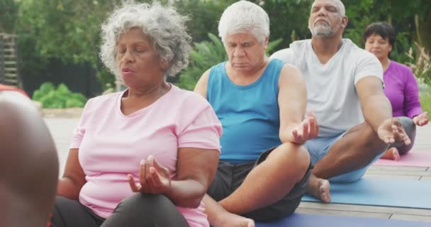 Happy Senior Diverse People Practicing Yoga Garden Retirement Home Healthy — Stockvideo