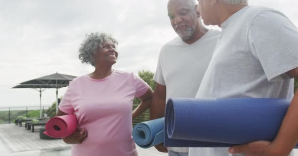 Happy Senior Diverse People Practicing Yoga Garden Retirement Home Healthy — Stockvideo