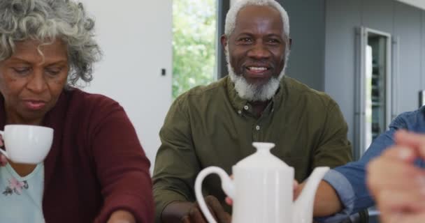 Happy Senior Diverse People Drinking Tea Talking Retirement Home Healthy — Stock Video