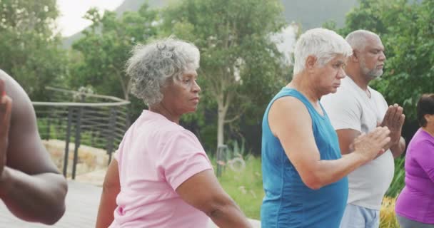 Happy Senior Diverse People Practicing Yoga Garden Retirement Home Healthy — Stockvideo