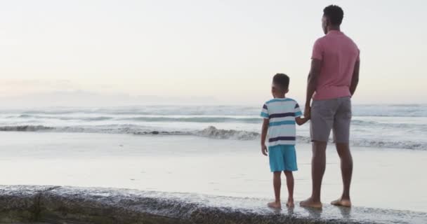 Padre Afroamericano Cogido Mano Con Hijo Playa Soleada Tiempo Saludable — Vídeo de stock