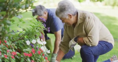 Bahçedeki bitkilerle ilgilenen mutlu yaşlı çiftlerin videosu. aktif emeklilik yaşam tarzı, kıdemli ilişki, hobi ve birlikte zaman geçirme. 