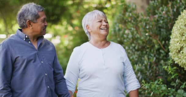 Video Una Feliz Pareja Ancianos Birraciales Tomados Mano Caminando Jardín — Vídeos de Stock