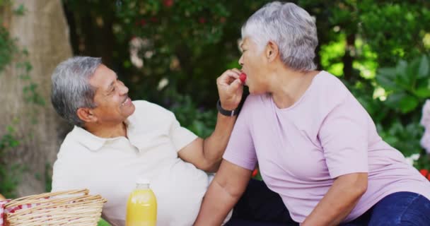 Video Una Feliz Pareja Ancianos Birraciales Comiendo Fresas Haciendo Picnic — Vídeos de Stock