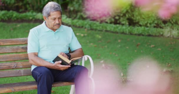 Βίντεο Από Χαλαρό Biracial Ανώτερος Άνθρωπος Ανάγνωση Βιβλίο Και Κάθεται — Αρχείο Βίντεο