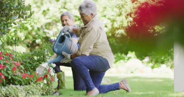 Video Van Gelukkige Biracial Senior Paar Besproeien Planten Tuin Actief — Stockvideo