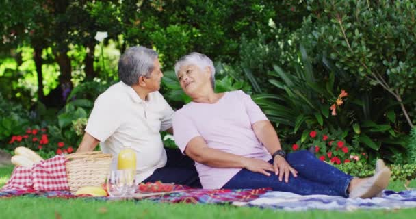 幸せな出産の先輩夫婦のキスのビデオや庭でピクニックをしています 積極的な定年退職生活やシニアリレーションシップそして共に過ごす時間は — ストック動画