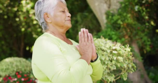 Vidéo Couple Sénior Biracial Détendu Pratiquant Yoga Dans Jardin Style — Video