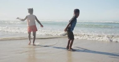 Sahilde eğlenen Afro-Amerikan erkek ve kız kardeşlerin dikiz görüntüsü. Aile seyahati ve tatil konsepti