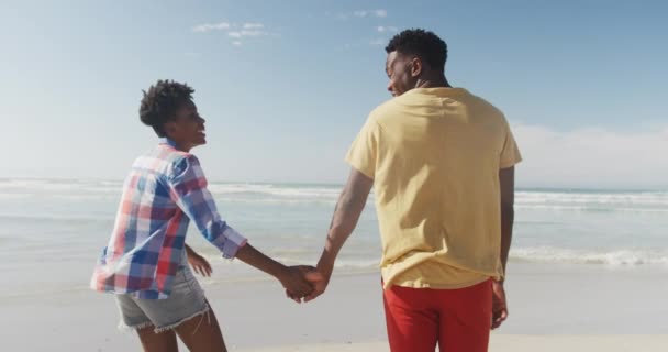 Vue Arrière Couple Afro Américain Tenant Main Sur Plage Concept — Video