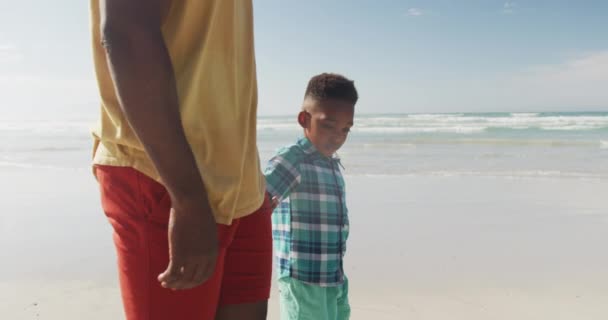 Amerykański Syn Trzymając Ojca Rękę Spacerując Plaży Koncepcja Podróży Rodzinnych — Wideo stockowe
