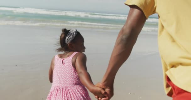 아프리카 미국인 아버지와 해변에서 있습니다 — 비디오