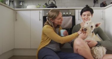 Kafkasyalı lezbiyen çift ellerinde kahve fincanlarıyla evde mutfakta köpekleriyle oynuyorlar. lgbt ilişkisi ve yaşam tarzı konsepti