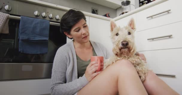 一个拿着咖啡杯和她的狗玩耍的白人女人坐在厨房里 爱护动物的概念 — 图库视频影像