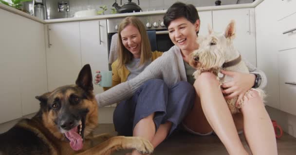 Coppia Lesbica Caucasica Che Gioca Con Cani Seduti Cucina Casa — Video Stock