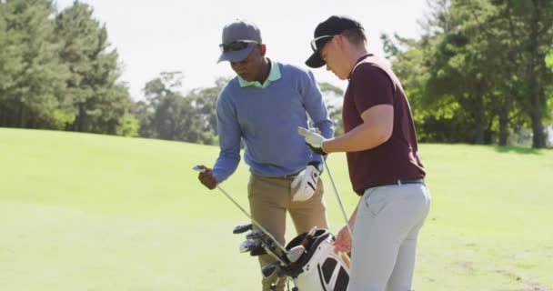 Video Diverse Male Friends Preparing Golf Clubs Paying Golf Field — Stockvideo