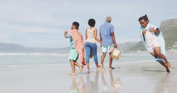 アフリカ系アメリカ人のカップルが晴れたビーチで子供と歩く 健康的で活発な時間のビーチホリデー — ストック動画