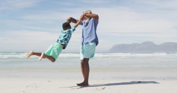 Feliz Padre Afroamericano Senior Jugando Con Hijo Playa Soleada Tiempo — Vídeo de stock