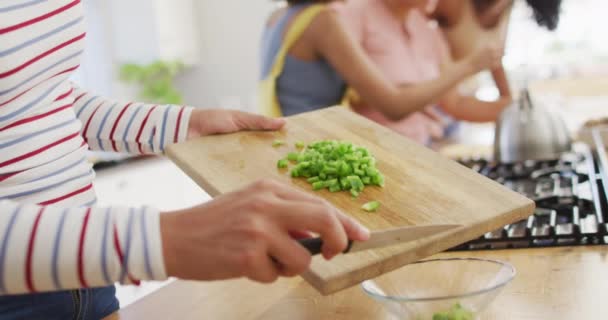 Mutfakta Çeşitli Bayan Arkadaşların Konuşmaları Yemek Pişirmeleri Kutlu Olsun Evde — Stok video