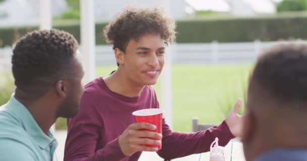 Heureux Divers Amis Masculins Parler Boire Bière Dans Jardin Jour — Video