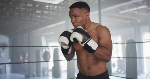 Video Vom Fitten Afrikanisch Amerikanischen Männerboxen Fitnessstudio Aktiver Fitter Sportlicher — Stockvideo