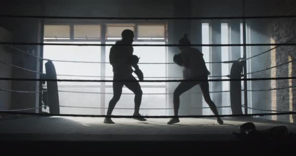 Vídeo Ajuste Mulher Diversificada Homem Boxe Ginásio Estilo Vida Ativo — Vídeo de Stock