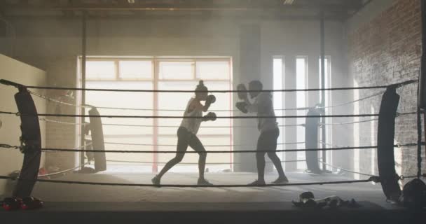 Video Boxeo Hombre Mujer Forma Diversa Gimnasio Estilo Vida Activo — Vídeos de Stock