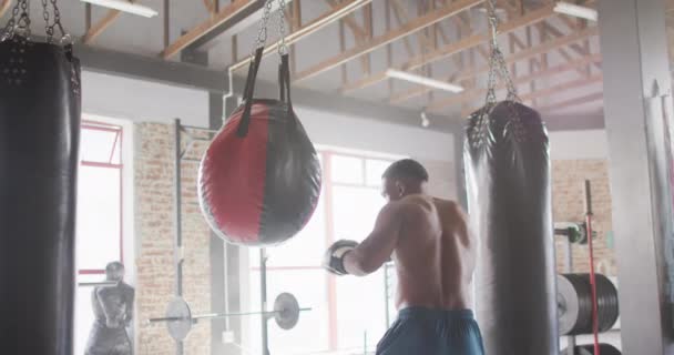 Video Vista Trasera Del Boxeo Afroamericano Forma Gimnasio Estilo Vida — Vídeo de stock