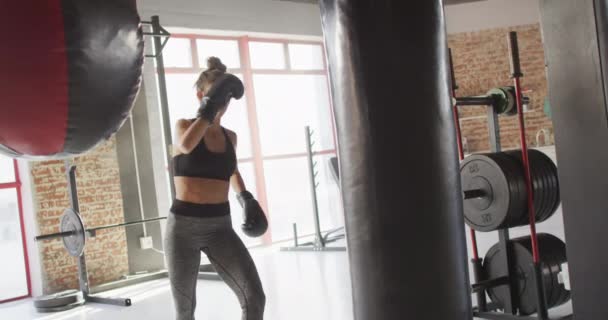 Video Passform Kaukasiska Kvinna Boxning Och Sparkar Gym Aktiv Passform — Stockvideo