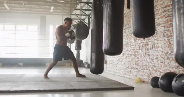 Video Passform Afrikansk Amerikansk Man Boxning Gym Aktiv Passform Sportig — Stockvideo