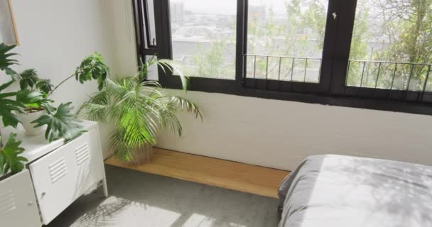 Vue Générale Chambre Moderne Avec Plantes Fenêtre Passer Temps Qualité — Video