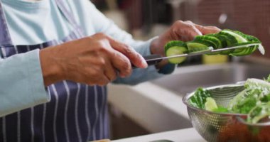 Asyalı son sınıf öğrencisinin evde sebze salatası hazırladığı bölüm. emeklilik yaşam tarzı ve yaşam konsepti