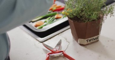 Asyalı son sınıf öğrencisi kadın evdeki mutfakta sebze salatasının üzerine biberiye koyuyor. emeklilik yaşam tarzı ve yaşam konsepti