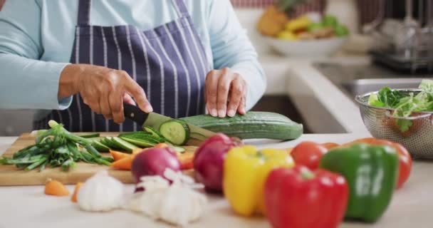 Asiática Senior Mujer Usando Delantal Cortar Verduras Cocina Casa Estilo — Vídeos de Stock