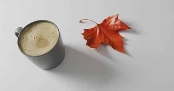 Video Mug Coffee Fall Leaf White Background Seasons Autumn Coziness — стоковое видео