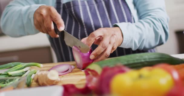 自宅の台所で玉ねぎをみじん切りアジアのシニア女性の中央部 退職生活と生活の概念 — ストック動画