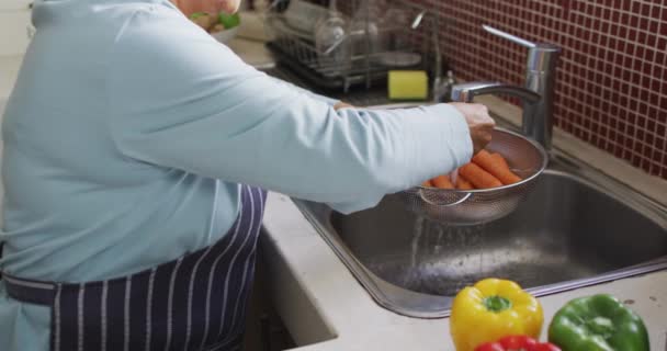 Asijská Starší Žena Zástěře Která Doma Myje Zeleninu Dřezu Životní — Stock video