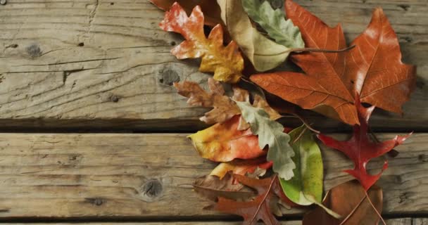 Video Guirnalda Hecha Hojas Caídas Sobre Fondo Madera Estaciones Otoño — Vídeos de Stock