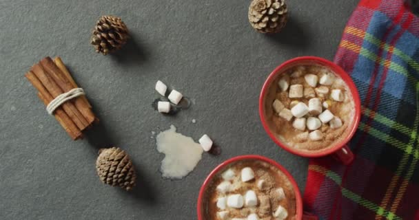 Video Coffee Marshmallows Pine Cones Cinnamon Grey Background Seasons Autumn — Vídeo de stock