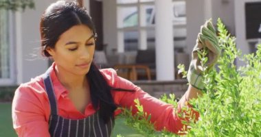 Bahçedeki bitkilerle ilgilenen melez bir kadının videosu. Yaşam tarzı ve evde ve bahçe konseptinde boş zaman geçirmek.