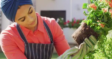 Bahçeye çiçek eken tesettürlü mutlu melez kadının videosu. Yaşam tarzı ve evde ve bahçe konseptinde boş zaman geçirmek.
