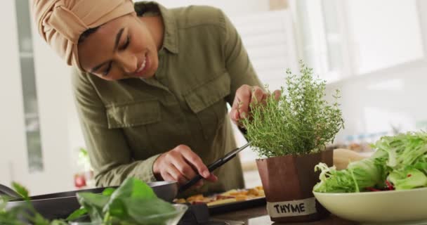 Video Happy Biracial Woman Hijab Taking Care Plants Lifestyle Houseplants — Stock video