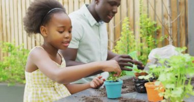 african american father and daughter planting plants. Enjoying quality family time together in garden.